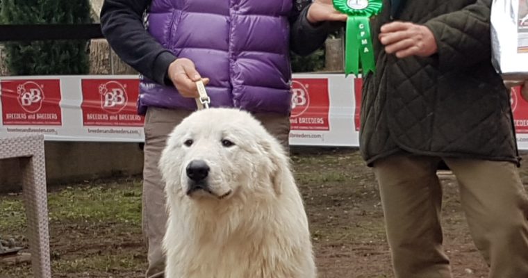 IAGO DI COLLEVENTO al Campionato Sociale